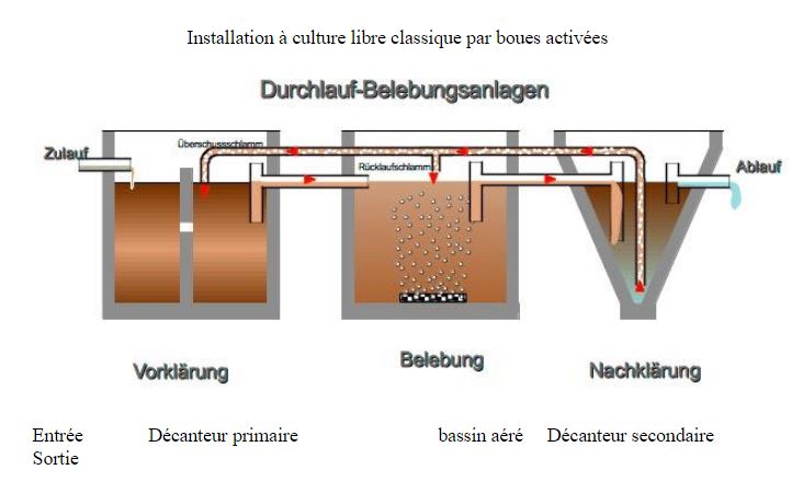 Installation à culture libre classique par boues activées