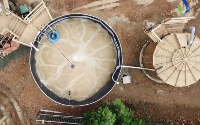 Station d’épuration dans une cuve en bois – restaurant polynésien